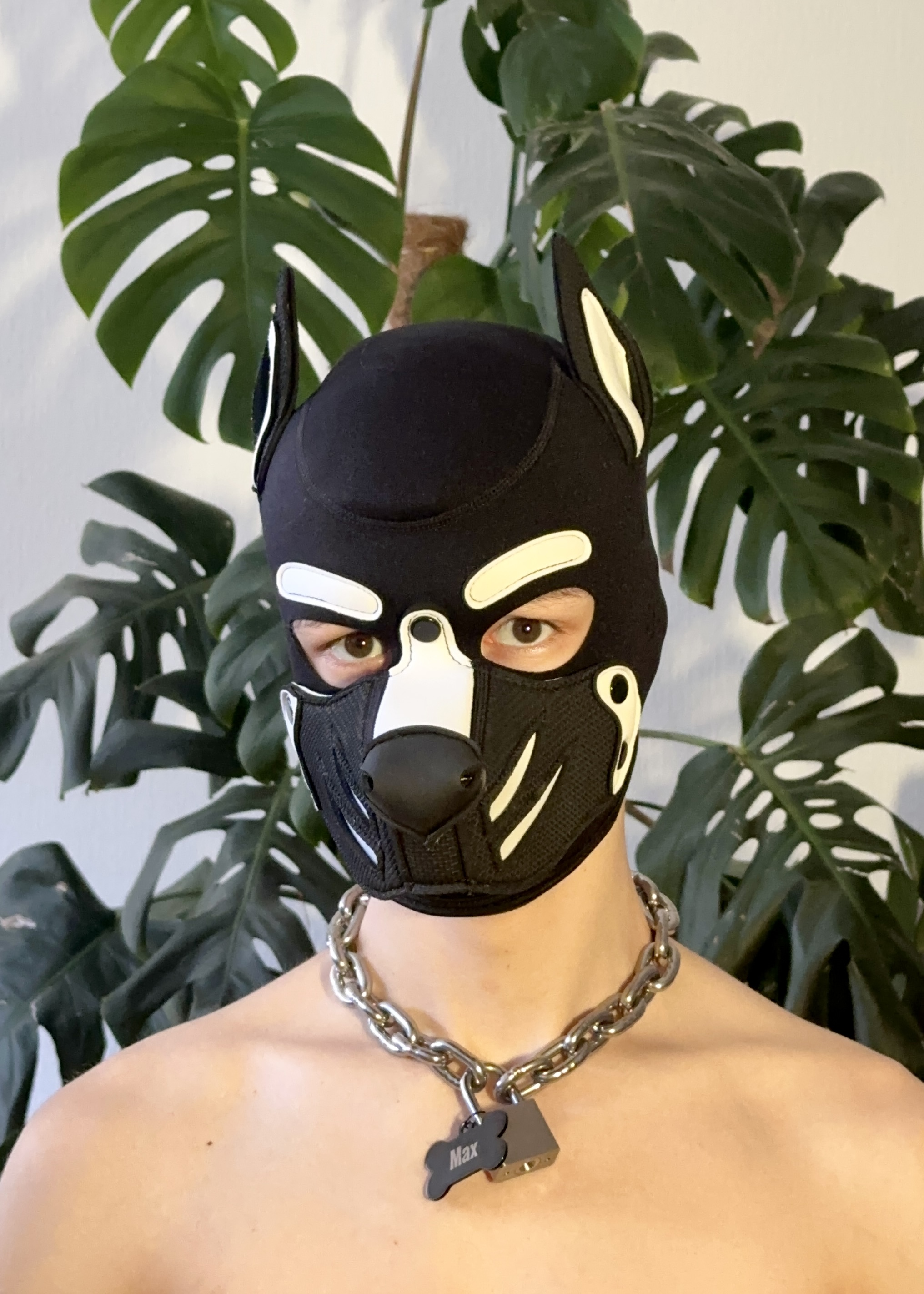Pup Max Portrait