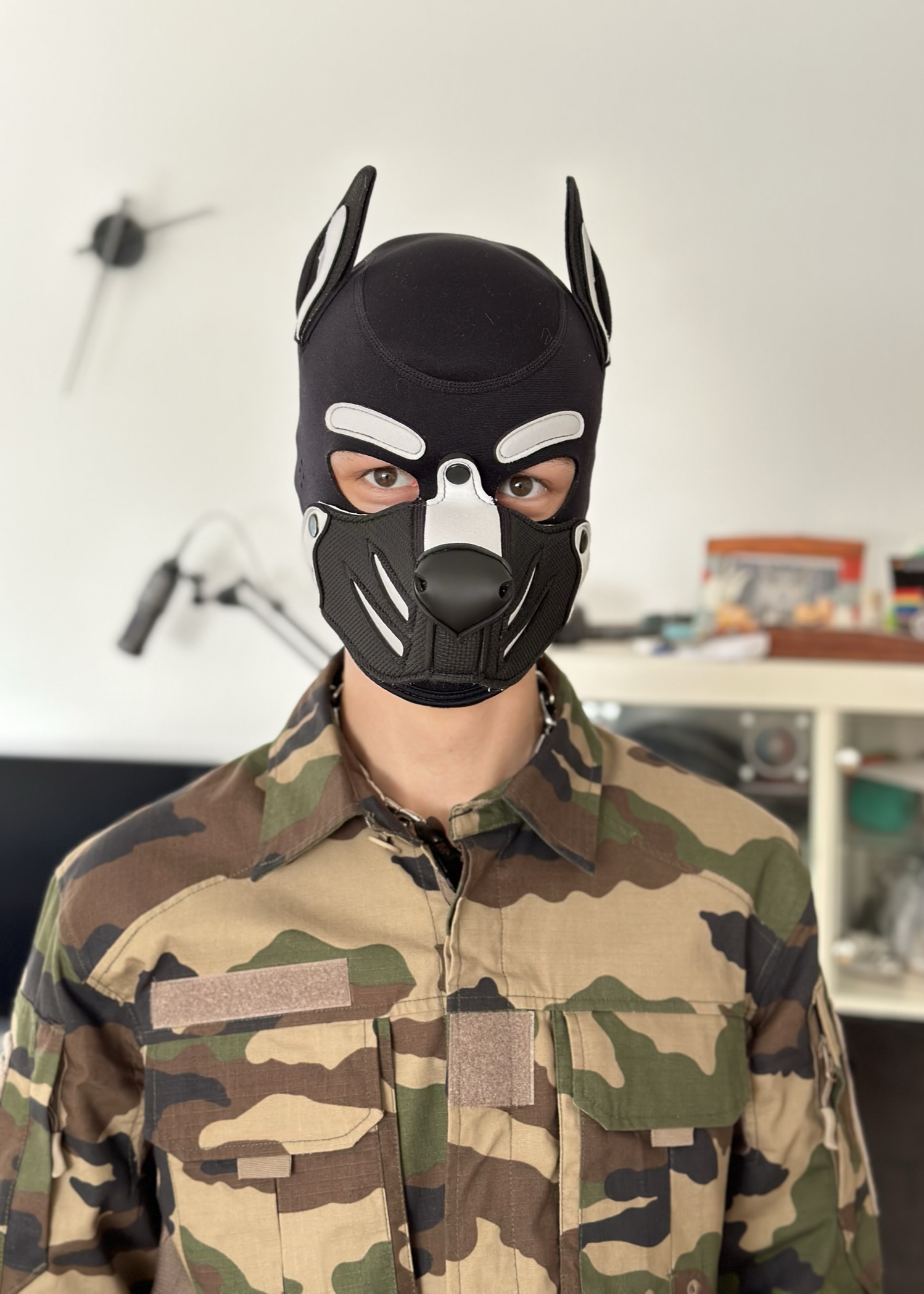 Puppy Headspace